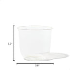 TOSSWARE NATURAL Arc - Plant Based Clear Cold Cups 12 oz - Plastic Alternative for Parties, Bachelorettes, Weddings - Recyclable - Set of 50