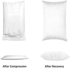 EIUE Hotel Collection Bed Pillows for Sleeping 2 Pack Queen Size，Pillows for Side and Back Sleepers,Super Soft Down Alternative Microfiber Filled Pillows,20 x 30 Inches