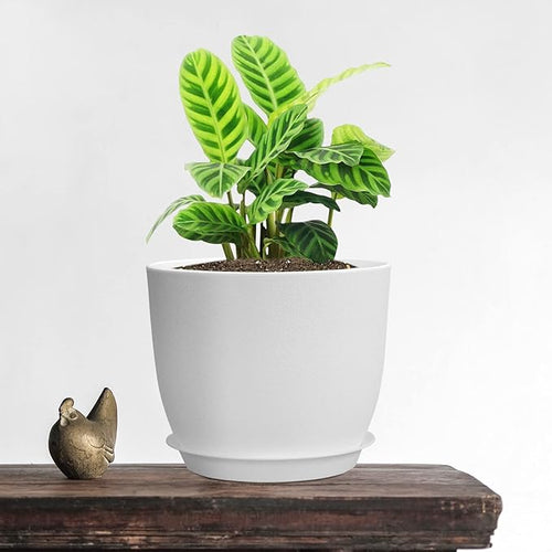 12/10/9 Large Modern Plant Pots, Plastic Planters with Drainage Holes and Saucers for Indoor Outdoor Plants Flowers, White