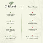 Chic Leaf Disposable Palm Leaf Plates - 50 Count, 8" Square, Natural - Bamboo Plates Disposable, Biodegradable & Compostable - Microwave Safe & Heavy Duty - Event & Party Supplies - Wedding Decor