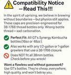 Kombucha.com Carbo-Caps: The Swingtop Slayer and Ultimate Carbonation System for Craft Beer & Kombucha Home Brewing. Viva La Revolución! (35 psi (Medium Carbonation), 6 Carbo-Caps + PRVs)