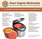 VitaClay Smart Organic Clay Pot Multi Cooker - Toxin Free Clay Rice Cooker, Delay Start Slow Cooker, Stew Cooker, Electric Soup Pot, Yogurt Maker, with Natural Earthen Clay Crock, 6 Cup / 3.2-Quart