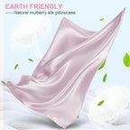 Mulberry Silk Pillow Cases 2 Pack Standard Size 20x26 Inches with Hidden Zipper, Ultra Smooth and Soft Breathable Cooling Silk Satin Pillowcase Set of 2, Better for Hair and Skin, Gifts for Women Men
