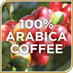 Don Francisco's Pumpkin Spice Ground Coffee, Medium Roast – Flavored 100% Arabica, 3-Pack (12 oz Bags), Premium Coffee for Drip, Pour Over & French Press
