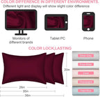Mulberry Silk Pillow Cases Queen Size with Hidden Zipper, Ultra Smooth and Soft Breathable Cooling Silk Satin Pillowcase for Hair and Skin, Gifts for Women Men (Burgundy Red, 20x30 Inches, 1 Pack)