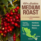 Mayorga Organic Coffee 12oz Mayan Blend - Medium Roast Whole Bean Specialty Grade Coffee, 100% Arabica, Slow Roasted, Chocolate and Floral Flavor with Low Acidity - USDA Organic, Non-GMO, Kosher