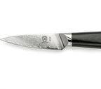 Mercer Culinary M13791 Premium Grade Super Steel, 3.5-Inch Paring Knife, G10 Handle