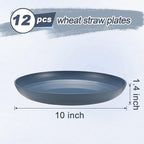 12 Pcs Unbreakable Deep Dinner Plates Set, 10 inch Reusable Plastic Wheat Straw Plates, Microwave and Dishwasher Safe Plate for Kitchen, Lightweight Plate for Dessert, BPA Free, Dark Blue