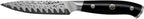 Henckels Compass Damascus 4-inch Damascus Paring Knife