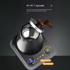 Gooseneck Electric Kettle,Electric Kettles, ±1℉ Temperature Control, Ultra-Quiet 304 Stainless Steel, for Coffee, Tea & Milk, Auto Boil Detection, 8 Safety Protections & Memory Function(Black，0.9L)