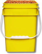 House Naturals 4 Gallon Square Food Grade Bucket Pail with Plastic Handles and Lid (Pack of 3) Made in USA containers (Yellow-Green-Red)
