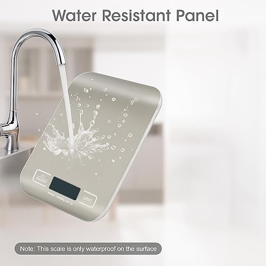 Digital Shipping Scale,Stainless Steel Panel, Accurate Portable Postal Scale for Packages, Small Business,Kitchen, Food, Handmade, Liquids, and Boutique (Stainless Steel Battery (5kg/1g))