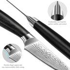 HOSHANHO Paring Knife 3.75 Inch, High Carbon Powder Steel Forged Small Kitchen Knives, Razor Sharp Japanese Fruit Knife with Ergonomic Pakkawood Handle