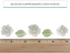 Global Sugar Art Blossoms and Leaves Edible Sugar Cake & Cupcake Flowers, White, Small Unwired, 24 Count with Leaves by Chef Alan Tetreault