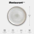 Organic Shape Restaurant Dinner Plates 10.5 ", Commerical Grade Catering Stoneware Plates in Ir-regular Organic Shape, Chip & Scratch Resistant, Glossy Reactive Glaze Grey, Case of 12