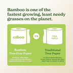 Caboo Tree Free Paper Towels, 6 Rolls, Eco Friendly, Earth Friendly, Sustainable Kitchen Paper Towels with Strong 2 Ply Sheets