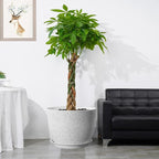 12/10/9 Large Modern Plant Pots, Plastic Planters with Drainage Holes and Saucers for Indoor Outdoor Plants Flowers, White Speckles