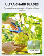 Fondwell 6.5" Pruning Shears Trimming Scissors: 2 Pack of Small Garden Snips with Micro Tip - Plant Clippers of High Cutting Efficiency