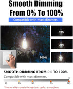 Lumiverse Edison Bulbs 60W Equivalent, Dimmable LED Light Bulbs, CRI 90+, Vintage E26 Lightbulbs, Natural White 4000K, ST19 ST58, 5.5W, Antique Clear Glass, 6 Pack