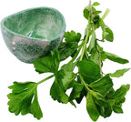 Herb Stripping Bowl with 4 Different Holes Efficient Leaf Removal Tool for Parsley Cilantro Vegetables Durable Resin Kitchen Gadget Veggie Herbs Stripper Imitation Ceramic Pottery Design