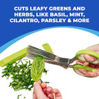 Jenaluca Herb Scissors with Five Blades - Two Pack - Herb Chopper with cleaning comb and safety cover