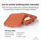 Moss and Fawn Ice Cube Tray - Forage Feeder Freezer & Teething Popsicle Mold for Breast Milk, Formula, Bone Broth, Purees, & Baby Food - BPA, Lead, & PVC-Free - Terracotta