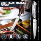 DRAGON RIOT Steak Knives Set of 2，Japanese Stainless Steel Steaks Knife With Serrated Edge Dinner Knife Diswasher Safe Steak Knives with Box