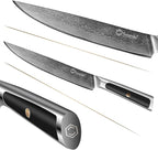 Sunnecko Damascus Kitchen Knife 8 Inch Carving Knife for Meat Slicing Knife Japanese VG10 Steel,Full Tang