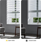 Persilux Zebra Blinds for Windows, Cordless Roller Shades Window Treatments (21" W x 64" H, White) Light Filtering Dual Layer Roller Window Shades Light Filtering Sheer Shades for Home and Office