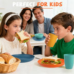Wheat Straw Dinnerware Sets, 20 PCS Service for 4, Dishwasher & Microwave Safe Kids Plates and Bowls Sets, Unbreakable Lightweight Outdoor Camping Dishes - Multicolor