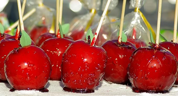 1000 Count | KingSeal Natural Bamboo Wood Candy Apple Skewers, Sticks, 5.5 Inch x 6.5mm diameter, Bulk Pack, Blunt Point for Safety - 1 Box of 1000