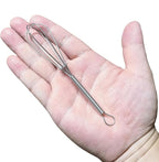 CHuangQi 5 Inch Endurance Stainless Steel Mini Whisk/Egg Beater, Set of 12