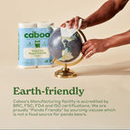 Caboo Tree Free Paper Towels, 8 Rolls, Earth Friendly Sustainable Kitchen Paper Towels with Strong 2 Ply