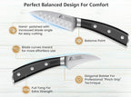 Paring Knife Set, 2PCS Small Kitchen Knives for Fruit, 3.8 Inch Fruit Knives and 2.75 Inch Bird Beak Peeling Knife, Premium Germany Stainless Steel Ergonomic Handle, Elegant Black Ideal for Gift