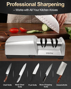 Professional 3-stage Electric Knife Sharpener for Kitchen Knives, with 100% Diamond Abrasive 20° Precision Angle Guide, Quickly Sharpening, Repairing/Restoring/Polish Blades (2-Stage Silver)