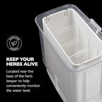 Cole & Mason Fresh Herb Keeper - Acrylic Storage Container for Refrigerator - Storage for Herbs & Vegetables for Fridge - Fresh Herb Keeper