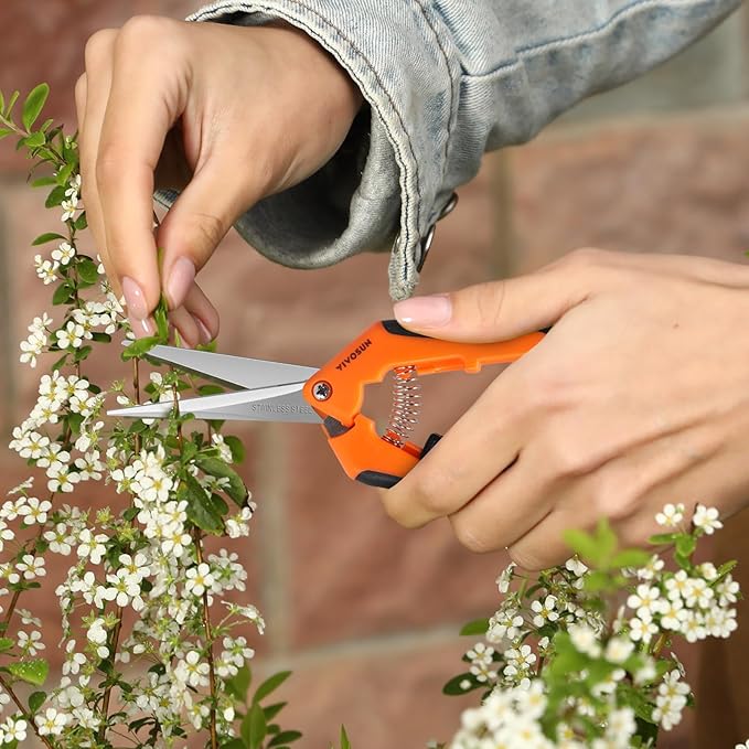VIVOSUN 3-Pack 6.5 Inch Gardening Scissors Hand Pruner Pruning Shear with Straight Stainless Steel Blades Orange