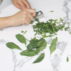 Herb Stripper and Herb Cutter 2 in 1,Herb Stripping Tool Herb Chopper Cilantro Chopper Best Kitchen Gadgets Presents for RV Owners Campers Chefs and Cooking Lovers,1PCS,Blue,Stainless Steel