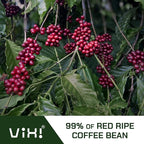 VIXI Drip Coffee Cinnamon Flavor, 16 Bags, Natural Vietnamese Ground Coffee, Blended, Medium Roast, Hanging Ear, Disposable, Balanced Taste, Single Serve, Perfect for Camping