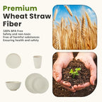 Homienly 40 PCS Dinnerware Set Service for 8, Kitchen Wheat Straw Dinnerware Set Unbreakable - Plates Set, Bowls Set,Cups Set, Microwave and Dishwasher Safe Dish Set for Dinner, Outdoor(Beige)