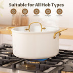 BEZIA 10 Quart Stainless Steel Stock Pot, Large Soup Pot, Casserole with Lid, Stockpot with Visible Lid, Silicone Edging, Sturdy & Double Handle, Induction Cooking Pot for Pasta, Soup, Spaghetti