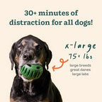 WOOF Pupsicle and Treat Tray - Long-Lasting Interactive Dog Toys and Silicone Dog Treat Mold - Keep Your Pup Busy - Easy to Clean - Dog Toys for XL Dogs 75 lbs and Up