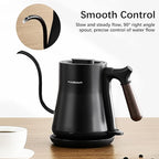 Gooseneck Electric Kettle, 1000W, Pour-over Coffee & Tea, Stainless Steel, Hot Water, 0.8L, Small, Auto Shut-Off & Boil Dry Protection, BPA Free
