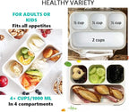 Bento-Box with Lunch Bag and Ice Pack Set. Containers for Kids Adults Boys Girls Snacks and Lunches. 4 Compartments, Divided Portion Container Boxes with Insulated Bags for School, Grey