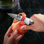 HOSHANHO Paring Knife 3.75 Inch Small Kitchen Knife, Super Sharp Damascus Steel Fruit Knife, Multifunctional Peeling Knife for Cutting Fruit Vegetables