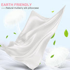 Mulberry Silk Pillow Cases 2 Pack Queen Size 20x30 Inches with Hidden Zipper, Ultra Smooth and Soft Breathable Cooling Silk Satin Pillowcase Set of 2, Better for Hair and Skin, Gifts for Women Men
