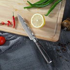 Paring Knife Set, 3.5'' Fruit Knife and 5'' Utility Knife, Sharp High Carbon Stainless Steel Small Kitchen Knives, Forged Peeling and Vegetable Cutting Knives with Gift Box