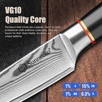 Sunnecko Damascus Paring Knife,Japanese VG10 Core Steel Damascus Fruit Knife,Professional Razor Sharp Small Kitchen Knives with Knives Sharpner