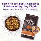 Wellness Bowl Boosters, Dog Food Topper for Small, Medium, & Large Breeds, Grain Free, Natural, Freeze Dried, Digestive Health Chicken, 4 Ounce Bag (Pack of 1)