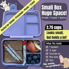 BEARFOOT Kids Lunch Box with Compartments – Compact & Lightweight | Leak-Proof, BPA-Free, Dishwasher & Microwave Safe | Hand-Drawn Design for Preschool, School, Travel (Mermaid Purple, 2.75 Cups)